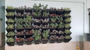 اجرای اولین دیوار سبز (داخل دانشگاه) دانشگاه رازی